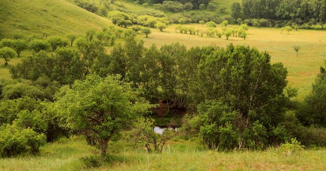 枣庄市润光新能源有限公司 招标