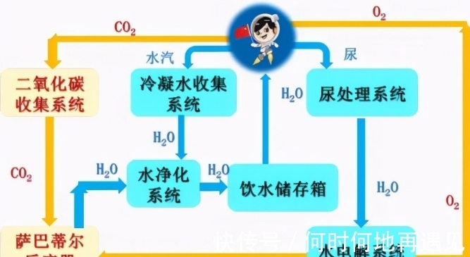 里番最新2026 2月 文化或技术的最新问题