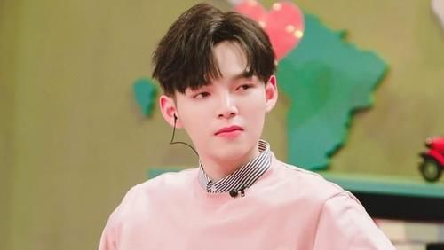 ycancan最新 替代方案Pundit:更面向对象