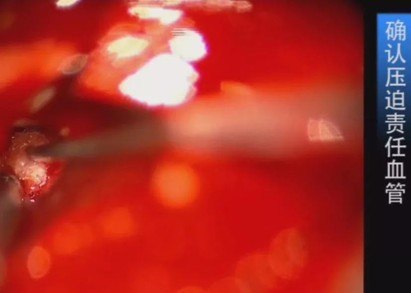 科学禁区 人格同一性等哲学与伦理挑战