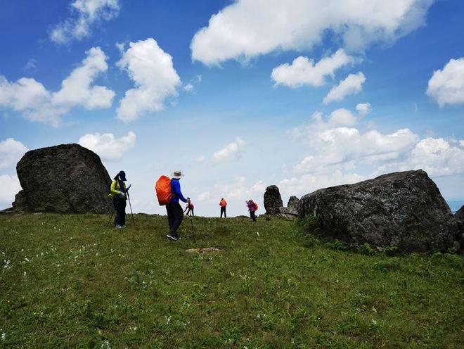 无畏契约同人动漫