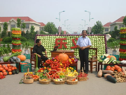 5mm视频 特点:视野非常宽广