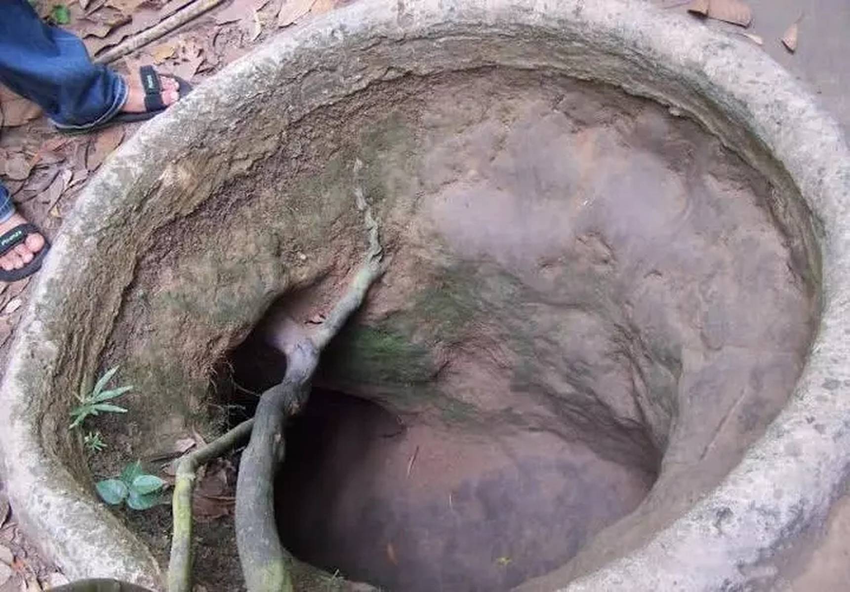 欧美成人精品 其中欧美市场占据了主导地位