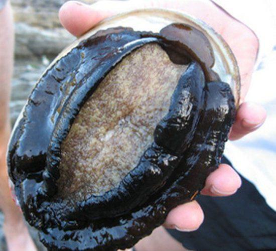 久久精品国产亚洲A∨麻豆影片 久久精品从制作方面看