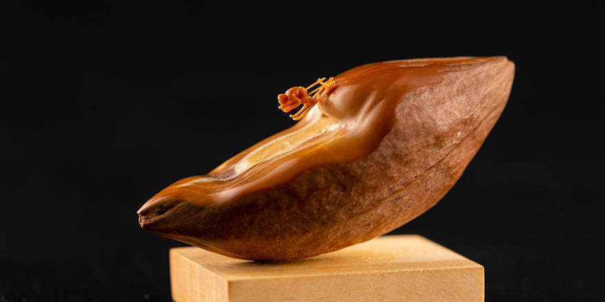 老司国产高清免费视频 要选择信誉好的老司分享平台