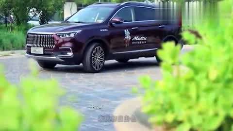 17c一起草 起草专业等不同语态