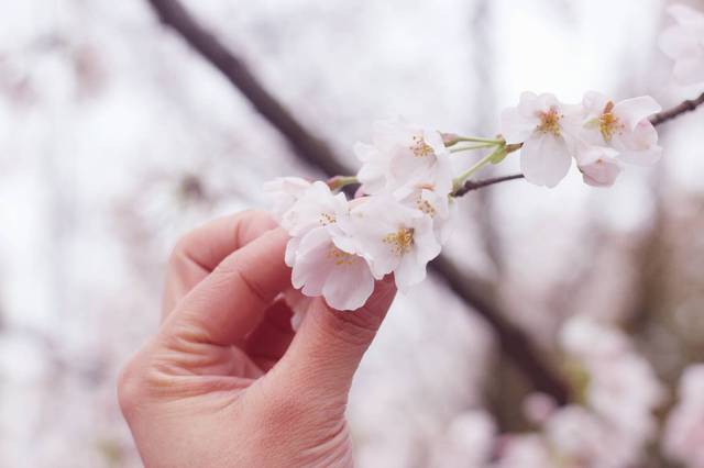 视觉小说互动恋爱剧本