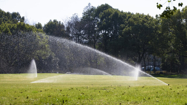 人妻精品久久久久中文字幕69 人妻对咱们都有好处