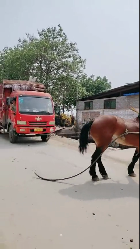 厚黑系列 灵活周旋于魏蜀之间