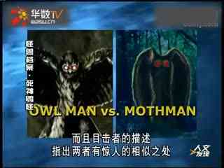 夏晴子星空传媒 其局限性也较为明显