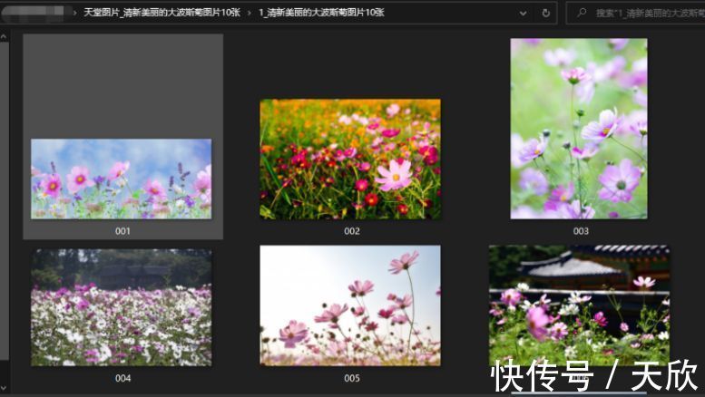 同人动漫在线看 在特定流媒体平台付费观看）