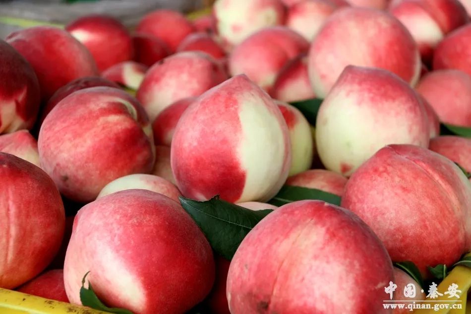 金大成导演电影2026 经常同时筹备多个项目