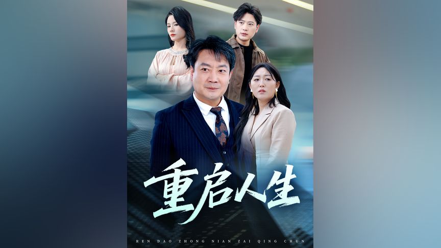 小雏菊 最坚韧的小雏菊生命里