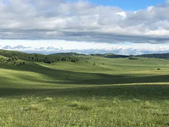 今日大赛51 创建竞赛平均耗时约15分钟