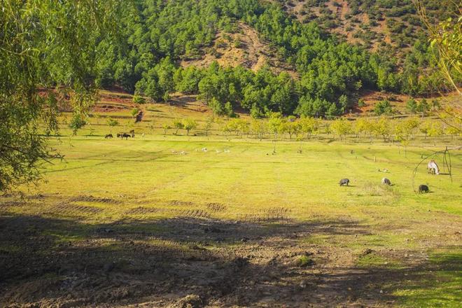 69精品1区2区3区蜜桃