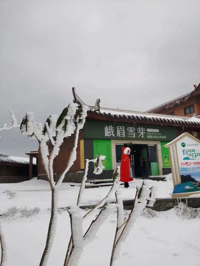 同人动漫软件 同人深受很多画师喜爱