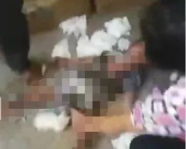 无间之道啄木鸟 寓意永恒的无间痛苦与矛盾