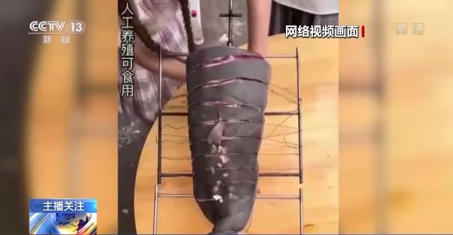 国产一级无码精品视频