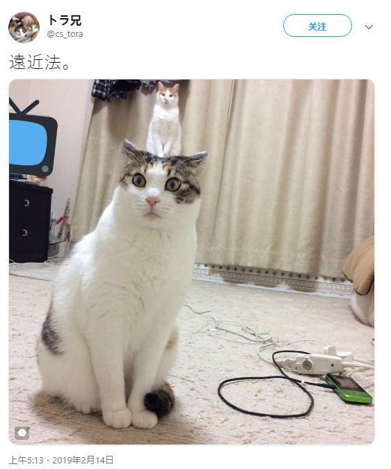 江户时期 江户时期商品经济深入发展