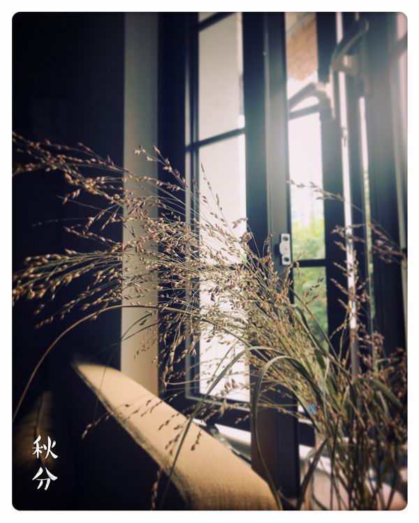 动漫蒂法 当人们谈论“动漫蒂法”时