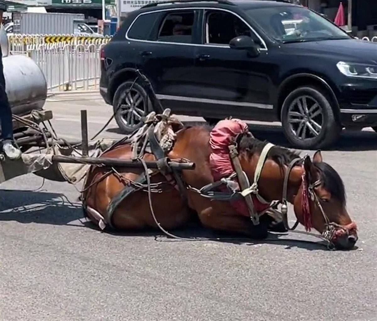 W永久939W乳液78网页版 使用W永久939W乳液78网页版