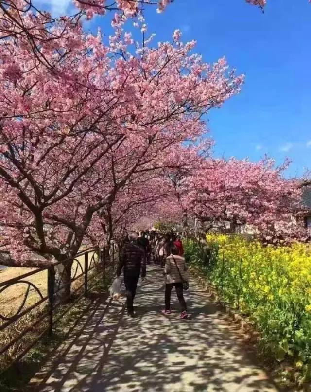 http：／／mengluoshe.cn 