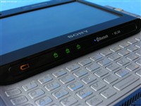 情劫免费在线观看电影美国