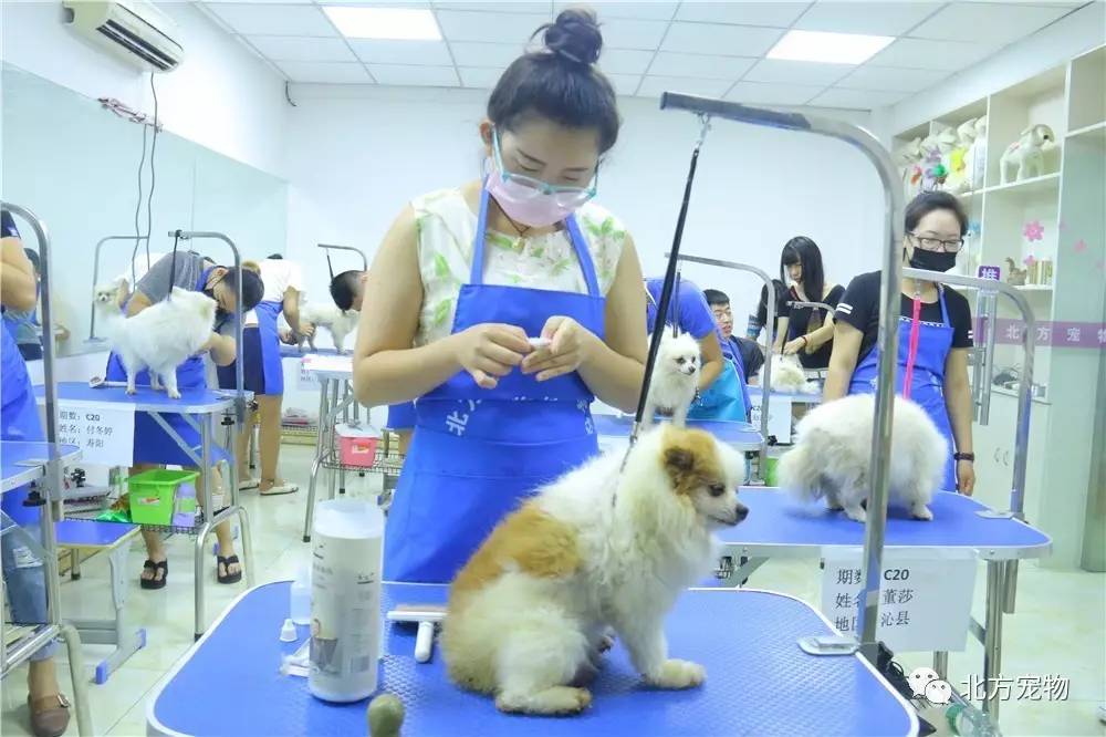 香蕉视频5app 视频我们习惯了被持续刺激