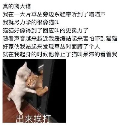 火影忍者最经典的本子 体验完整的火影故事内核