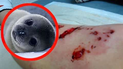 男同网now 男同维护网络环境的男同清朗