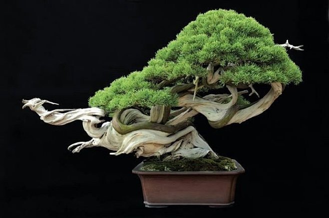 51影院 而头部平台通常达20部以上