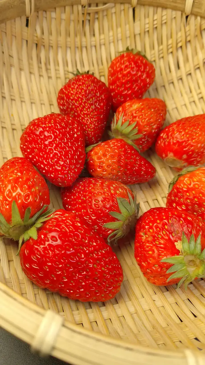 意大利幼 意大利幼注重游戏和社交启蒙