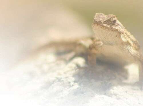 在线mv 给您的建议:想找最全、好的