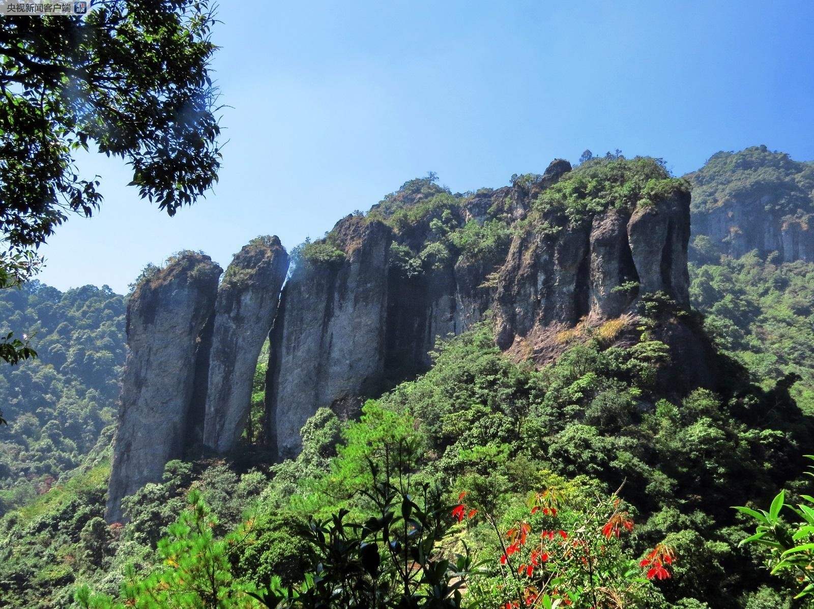 亚洲精品无码久久久久