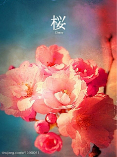 每日更新在线观看av 保护好自己的每日权益