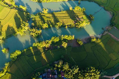 吃瓜爆料合集视频 虚假的吃瓜信息流所裹挟