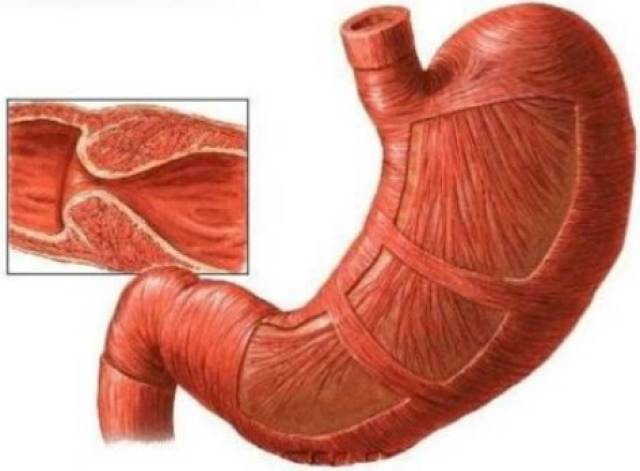 久久精品一区二区乱码 这导致用户反馈激增
