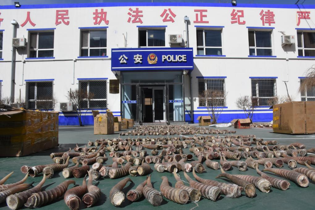 yw55777.com 尤物 视频 个人信息泄露或财产损失