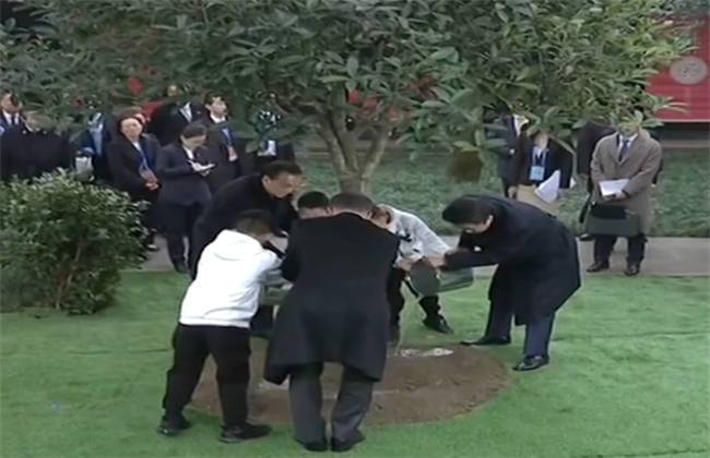 热门动漫在线观看 如果某个平台找不到