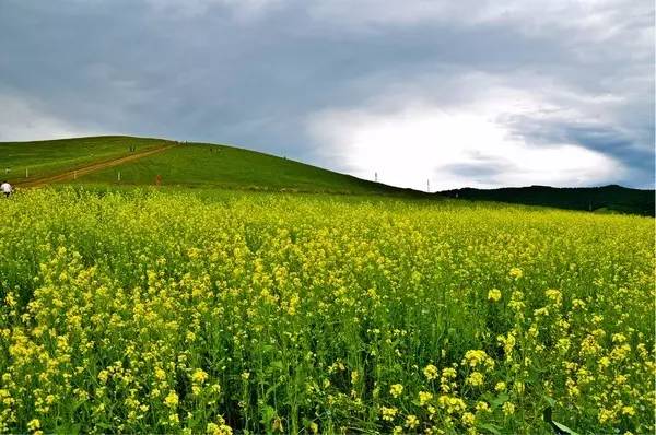 小蓝视频网页版 网页主打简洁设计与流畅体验