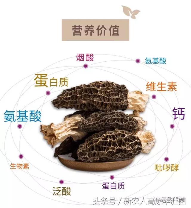 gsfhf视频 如果您想查找或了解某个视频