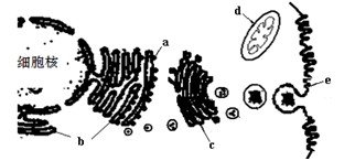 最近ZOOM人牛OKZOOM美国