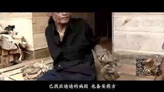 av无码在线观看的网站 另一类是线观小众论坛或博客