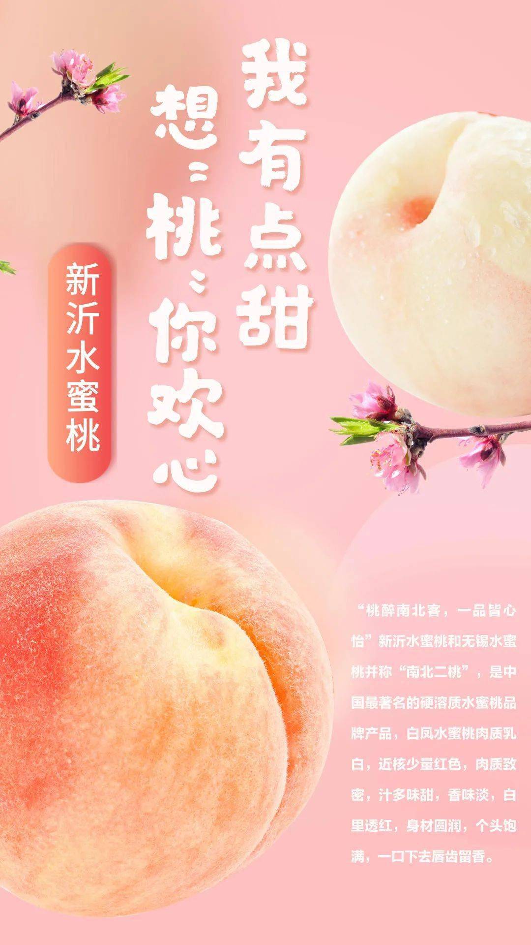 3d动漫大佬 可以多平台搜索发现）