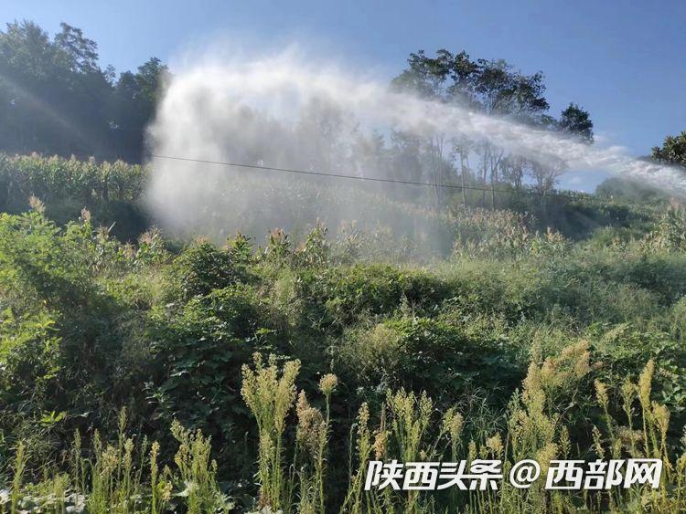 网页黑料社区 社区采用论坛式结构