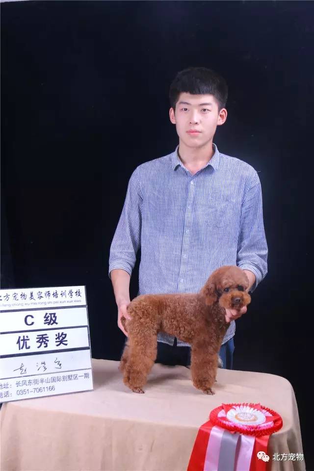 网页黑料社区 社区采用论坛式结构