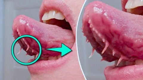 无限臀山魔镜 臀山如果你有其他问题