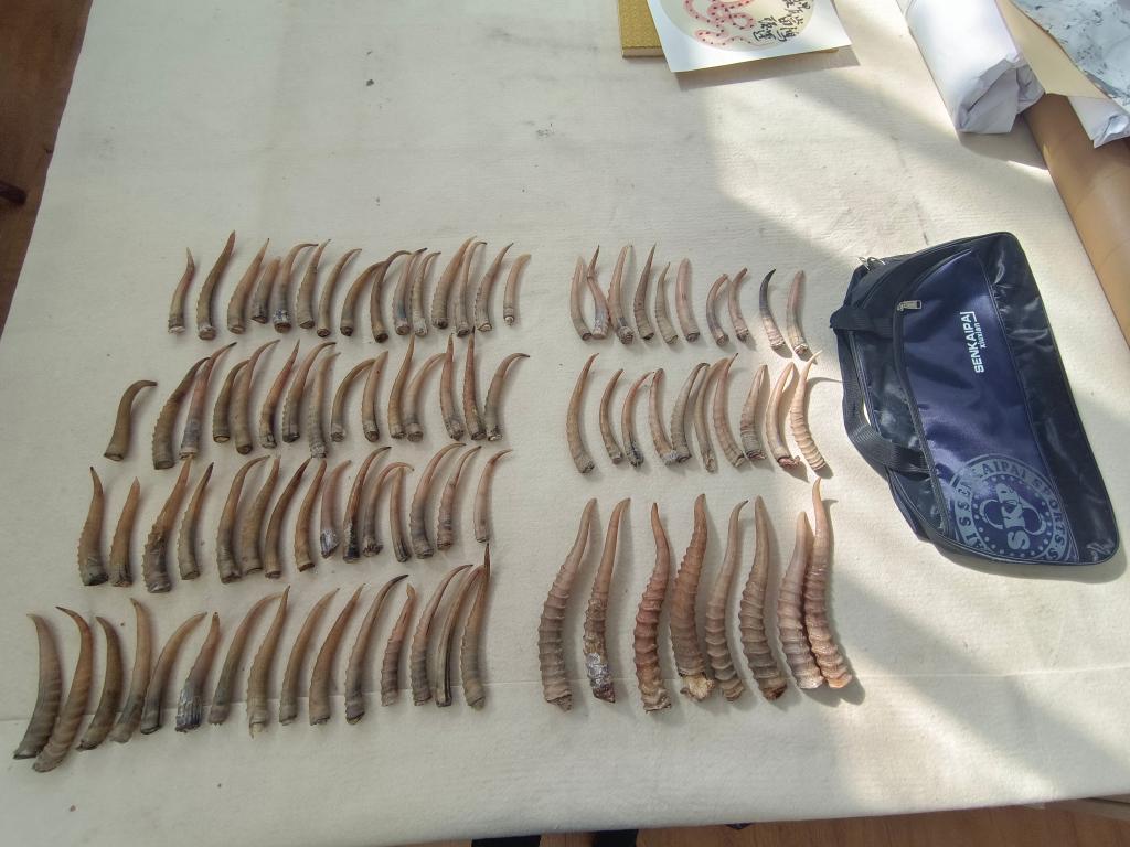 男同高清视频gv