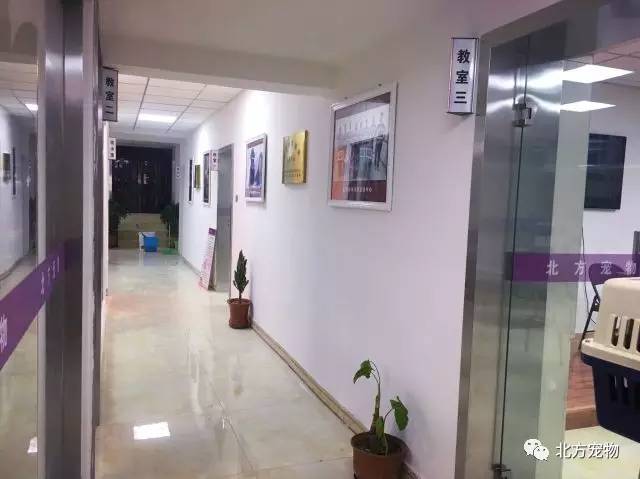 无 限臀 山 我还没有学会回答这个问题