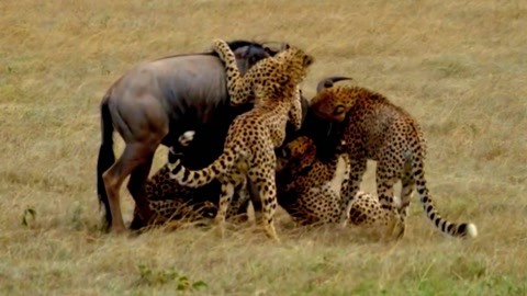 水卜樱最新 风格以甜美治愈系为主